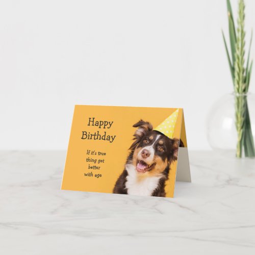 Happy Birthday Cute Dog Getting Older Fun quote Card