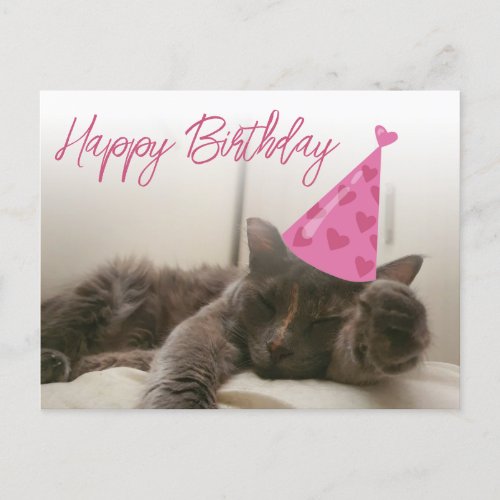 happy birthday cute funny cat with hat sleeping postcard