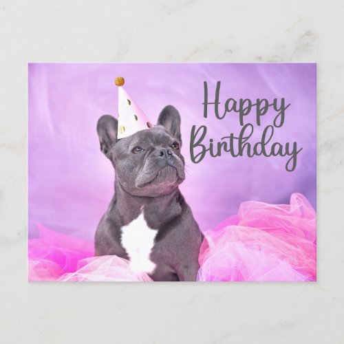 Happy Birthday Cute Funny French Bulldog  Postcard
