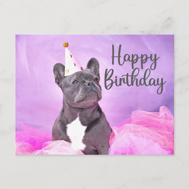 Happy Birthday Cute Funny French Bulldog  Postcard (Front)