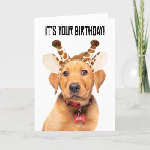 Happy Birthday Cute Lab Puppy In Giraffe Ears Holiday Card