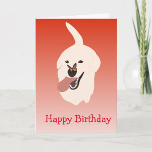 Happy Birthday Cute Labrador Golden Retriever Card
