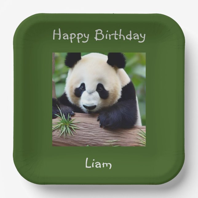 Happy Birthday Cute Panda Paper Plates (Front)
