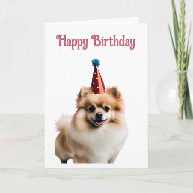 Happy Birthday Cute Pomeranian  Card (Front)