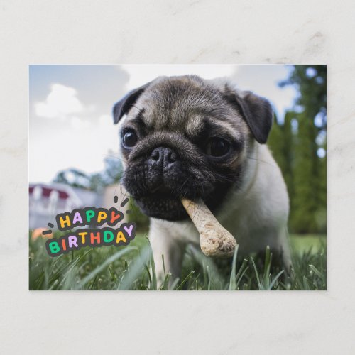 Happy Birthday Cute Puppy with the Bone Postcard