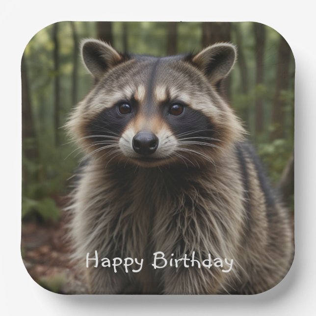 Happy Birthday Cute Raccoon   Paper Plates (Front)