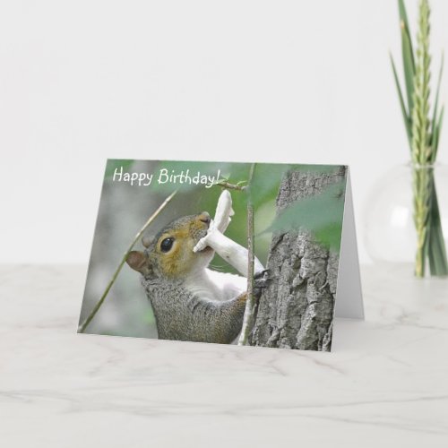 Happy Birthday Cute Squirrel Card