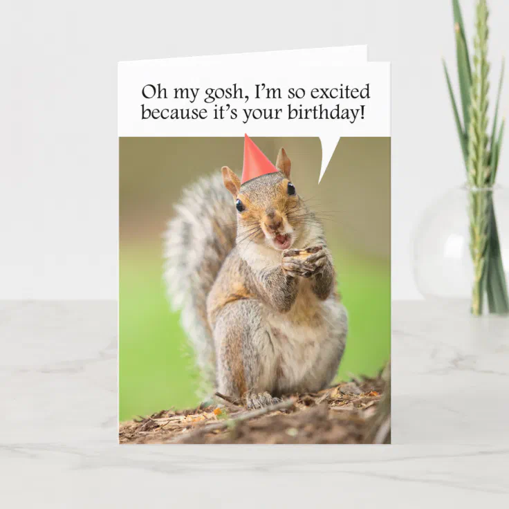 Happy Birthday Cute Squirrel in Party Hat Holiday Card | Zazzle