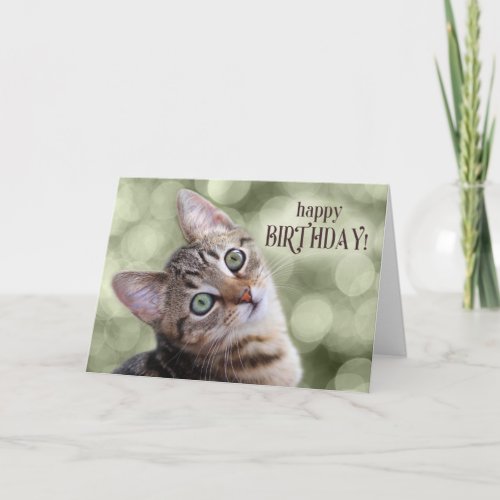 Happy Birthday Cute Tabby Kitten Card