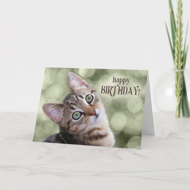 Happy Birthday Cute Tabby Kitten Card (Front)