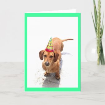 Happy Birthday Dachshund Greeting Card | Zazzle