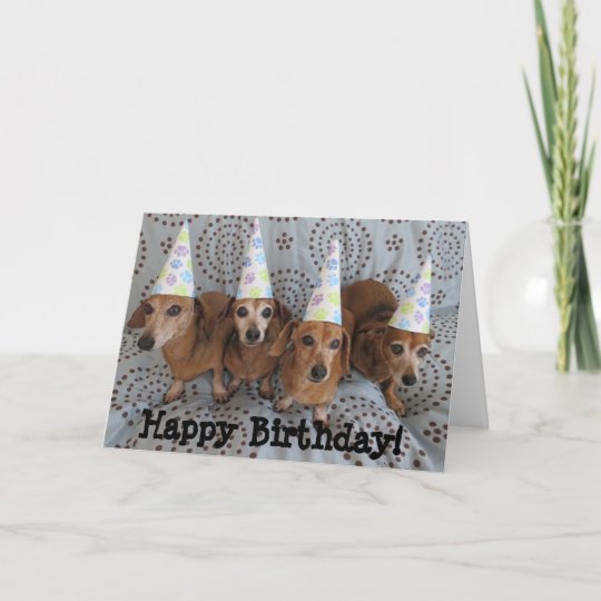 Happy Birthday Dachshund Greeting Card | Zazzle.com