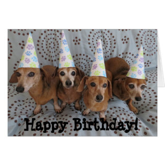 Happy Birthday Dachshund Greeting Cards | Zazzle