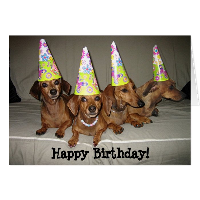 Happy Birthday Dachshund Greeting Cards