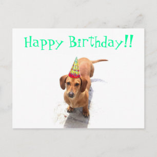 Happy Birthday Dachshund Postcard