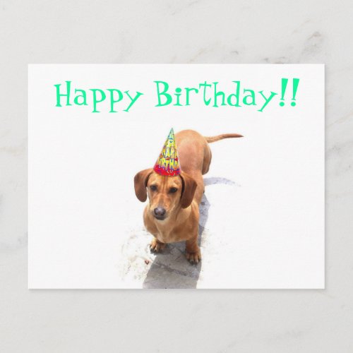 Happy Birthday Dachshund Postcard