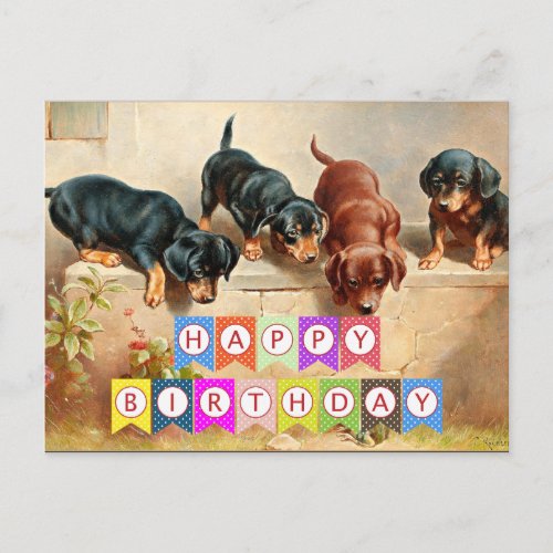 Happy Birthday Dachshund puppies Postcard