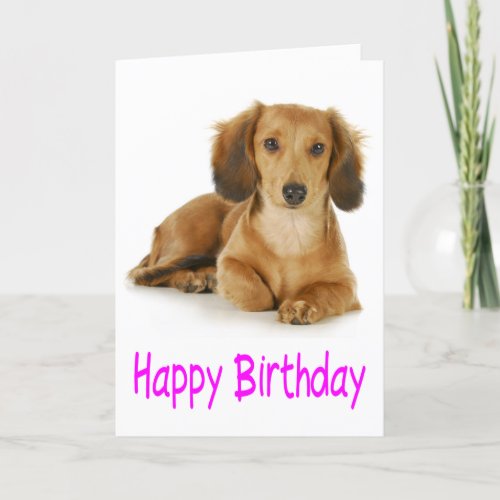 Happy Birthday Dachshund Puppy Dog Card