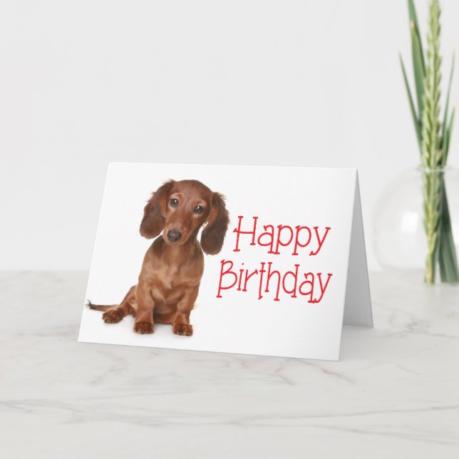 Happy Birthday Dachshund Puppy Dog Card (Front)