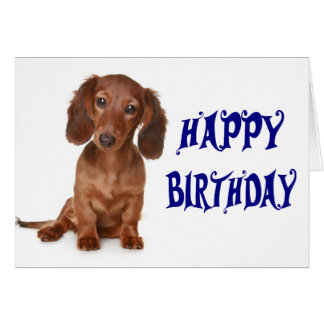 Happy Birthday Dachshund Cards | Zazzle