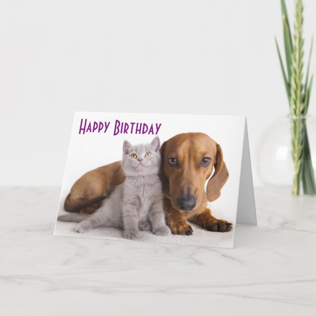 Happy Birthday Dachshund Puppy Dog Card (Front)
