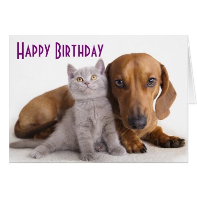 happy_birthday_dachshund_puppy_dog_card-ra6f0d11d2f39484e9cf1020c6b613309_xvuak_8byvr_400.jpg