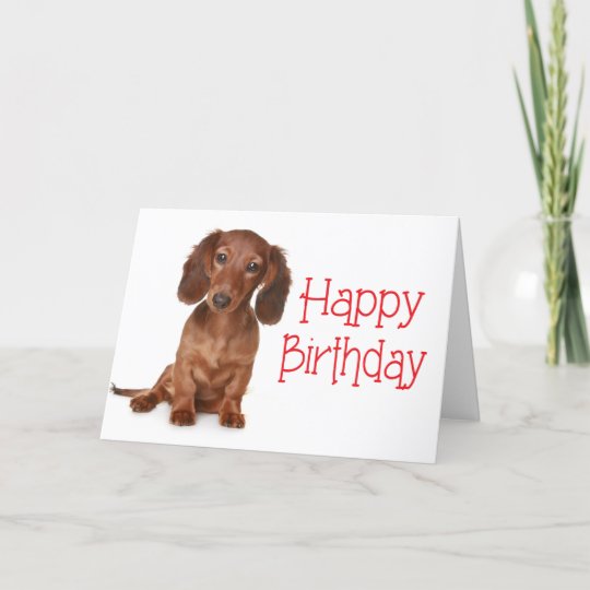 Happy Birthday Dachshund Puppy Dog Card | Zazzle.com