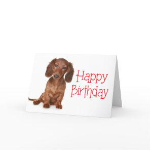 Happy Birthday Dachshund Puppy Dog Card