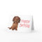 Happy Birthday Dachshund Puppy Dog Card