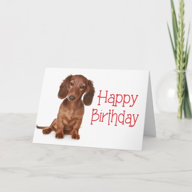 Happy Birthday Dachshund Puppy Dog Card (Front)