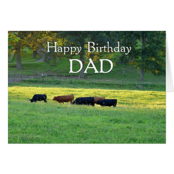 Happy Birthday DAD Cows in pasture. Greeting Cards