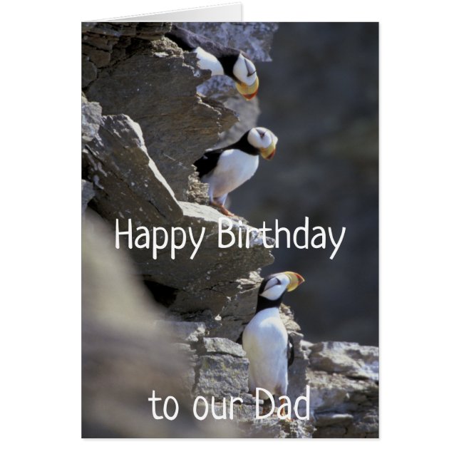 Happy Birthday Dad Cute Puffin Birds Animal Humor (Front)