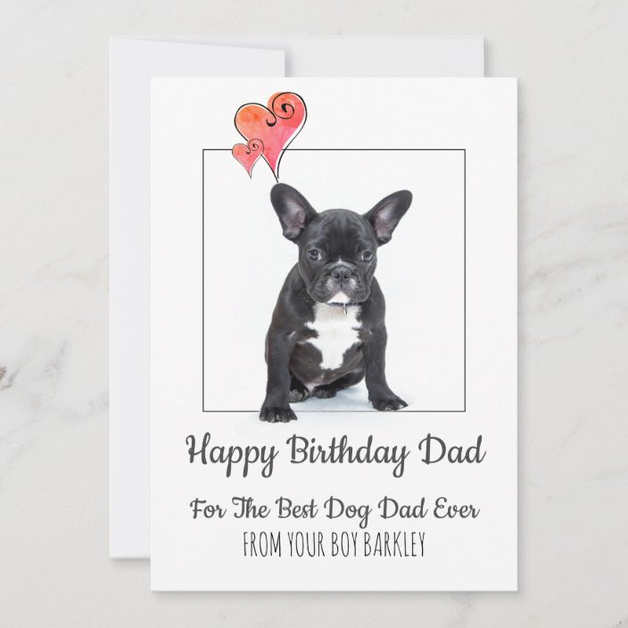 happy birthday dad from dog