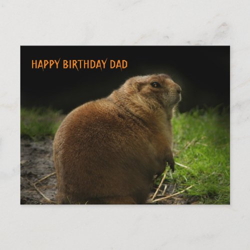HAPPY BIRTHDAY DAD Woodchuck Groundhog Picture  Postcard