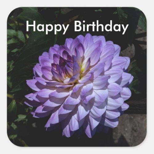 Happy Birthday Dahlia Bea Paradise 1 Stickers