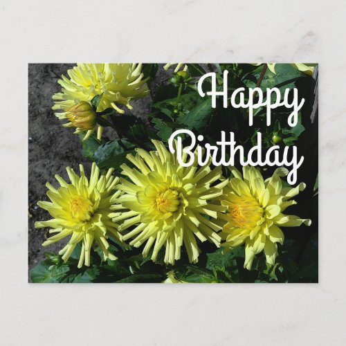 Happy Birthday Dahlia Lakeview Glow 1 Postcard