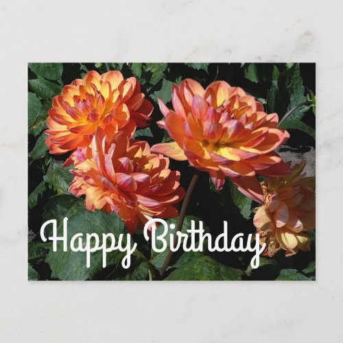 Happy Birthday Dahlia Pam Howden 1 Postcard