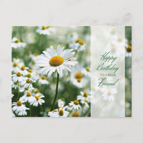 Happy Birthday Daisies for Friend Postcard