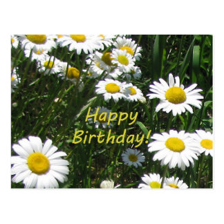 Happy Birthday Daisy Flower Postcards | Zazzle