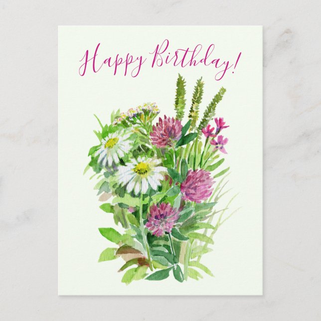 Happy birthday, daisy, clover wildflowers postcard (Front)