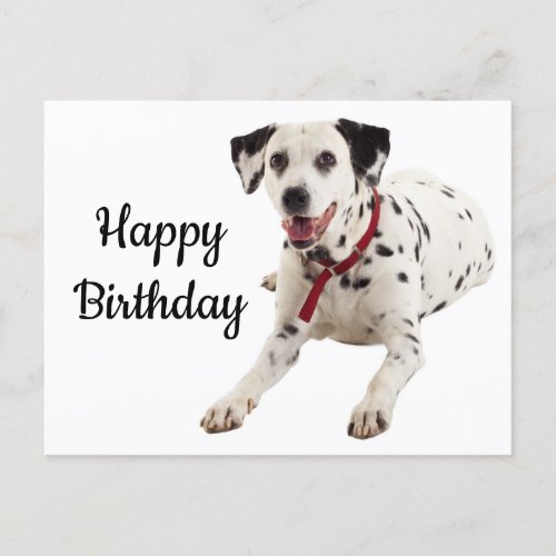 Happy Birthday Dalmatian Puppy Dog Lover Postcard