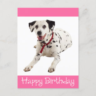 Happy Birthday Dalmatian Puppy Dog Post Card