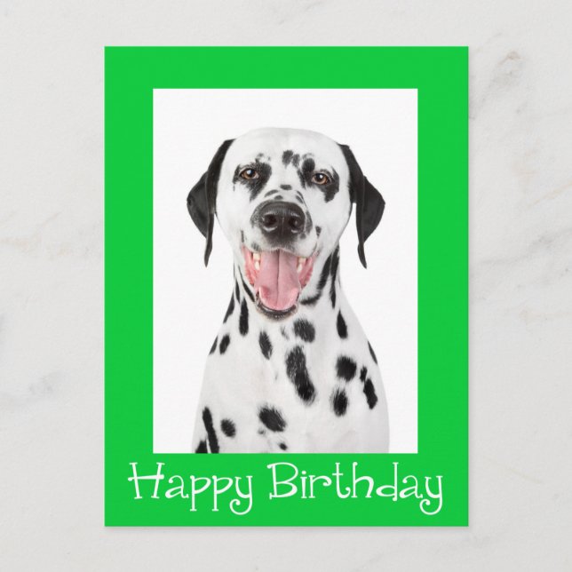 Happy Birthday Dalmatian Puppy Dog Post Card (Front)