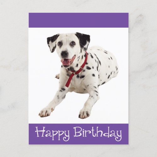 Happy Birthday Dalmatian Puppy Dog Post Card