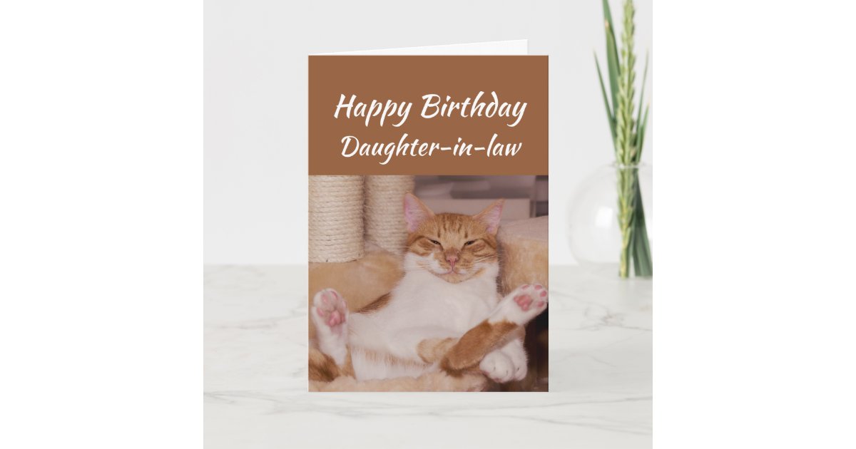 Happy Birthday Daughter In Law Celebrate Funny Cat Card Zazzle