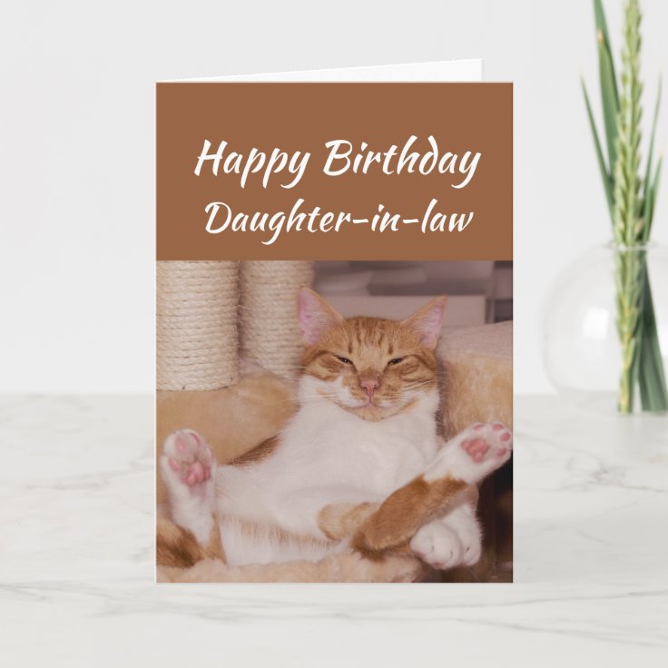 Happy Birthday Daughter-in-law Celebrate Funny Cat Card | Zazzle