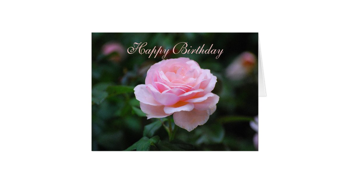 Happy Birthday Delicate Pink Rose Card | Zazzle.com