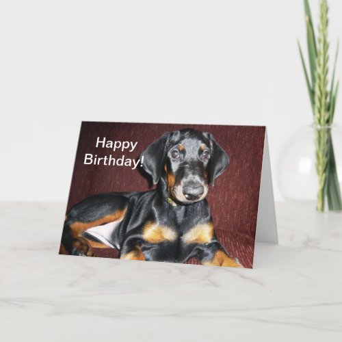 Happy Birthday _ Doberman Pinscher Puppy Card