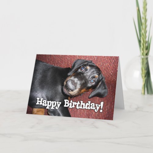 Happy Birthday _ Doberman Pinscher Puppy Card