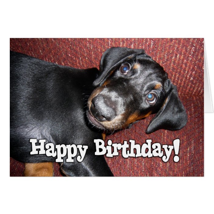 Happy Birthday   Doberman Pinscher Puppy Greeting Card